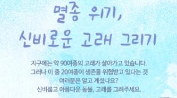 멸종 위기, 신비로운 고래 그리기