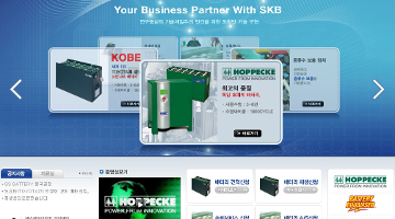 SKB BATTERY 