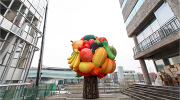 청계 9가에 출연한 거대 ‘과일나무’, 삭막한 도심을 예술적 상상으로 채운다 